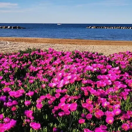 Hébergement de vacances Mery's House Casa *